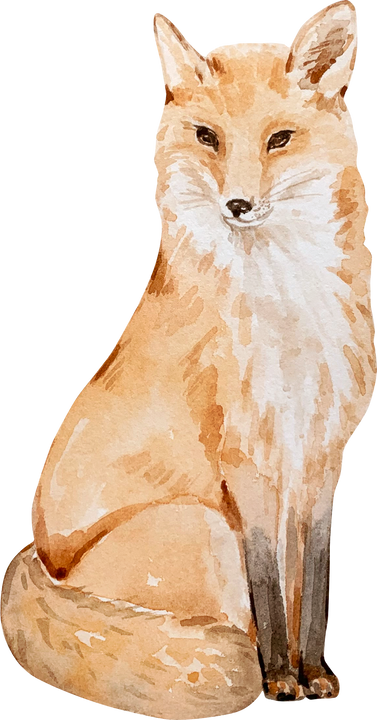 Watercolor Sitting Fox