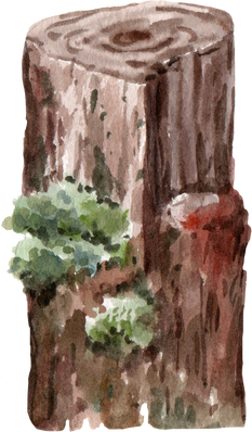 Watercolor Wood Illustration