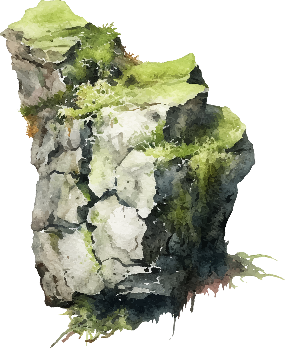 rock and moss in watercolor style illustration