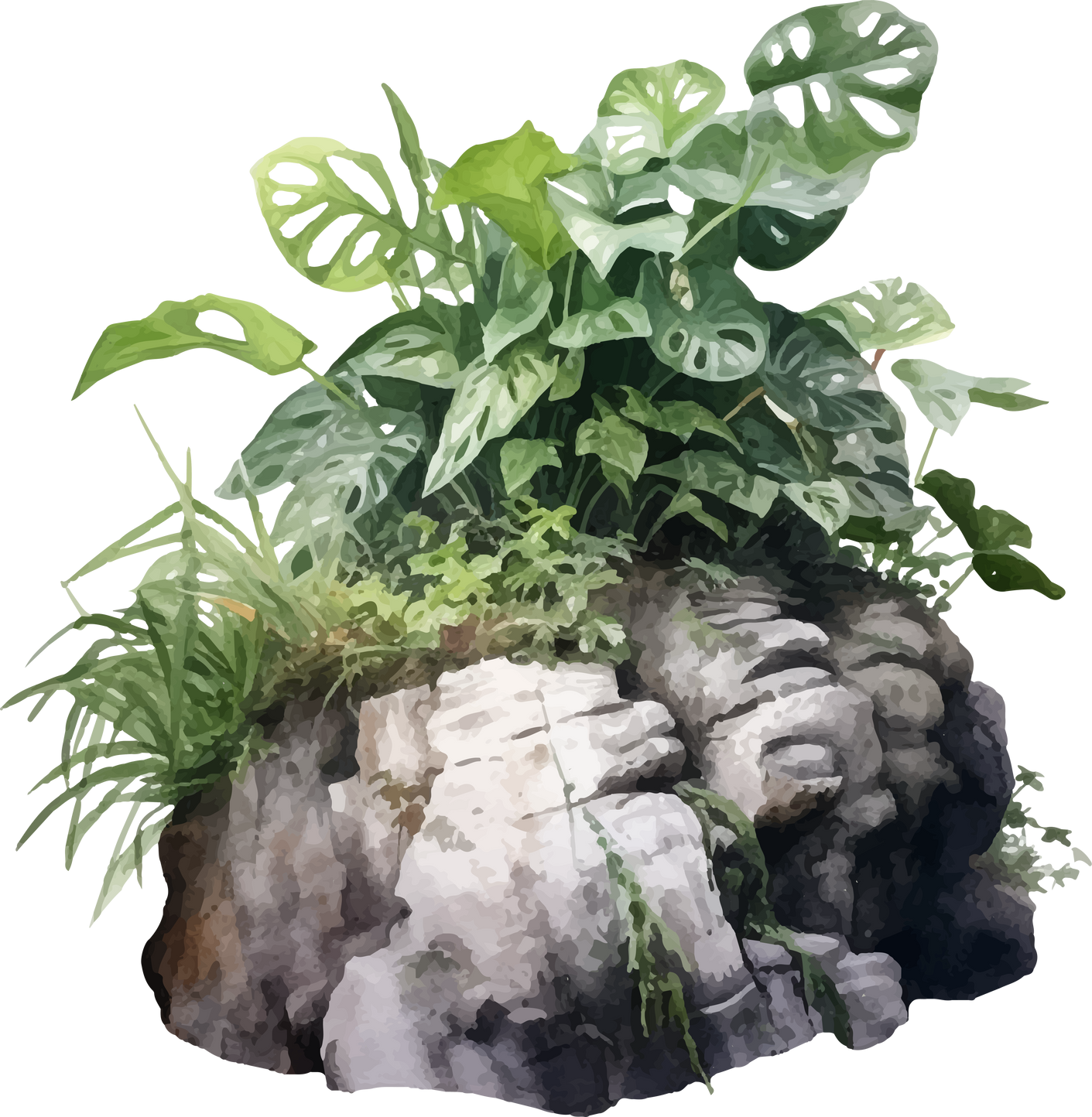 rock and plants in watercolor style illustration