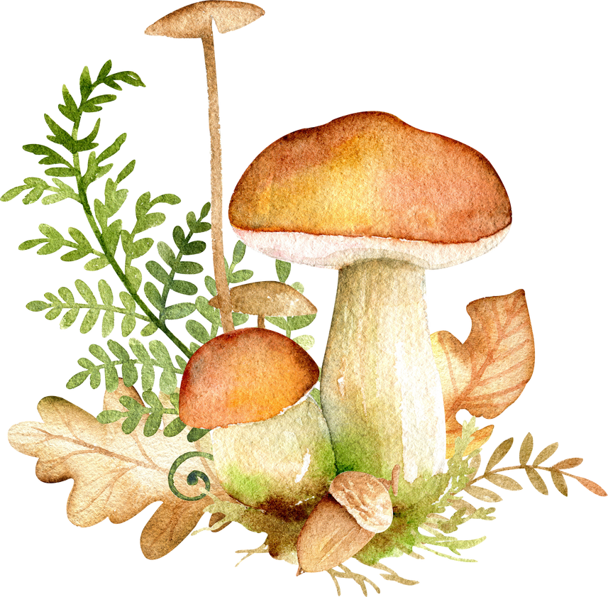 Watercolor mushrooms, leaves and green branches