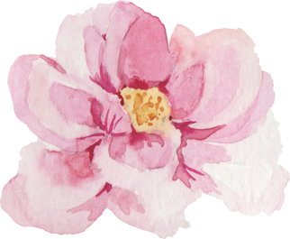 Watercolor Pink Flower